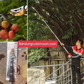 Kéo cắt tỉa cành hái trái trên cao 5m 3 đoạn