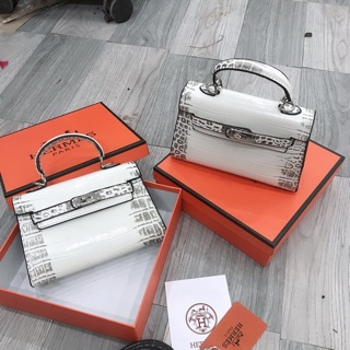 Túi hm bạch tạng