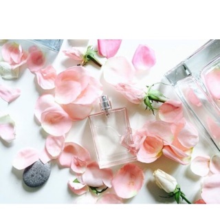 Nước hoa nữ Burberry Brit Sheer một bữa tiệc hương sắc tưng bừng dành cho quý cô nhẹ nhàng và thanh lịch