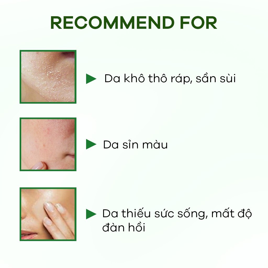 Tinh Chất Dưỡng Ẩm, Phục Hồi Da Zakka Naturals Chiết Xuất Tảo Biển Lên Men Fermented Sea Kelp Moisturizing Essence 300ml | BigBuy360 - bigbuy360.vn