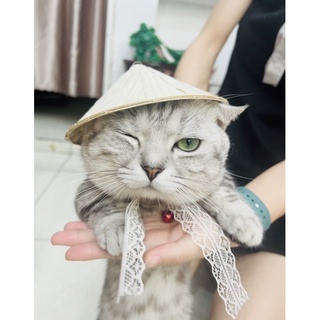 [Mã PET20K giảm 20K đơn 250K] Nón Cói - Mũ Rơm cho Chó Mèo - CHỌN MẪU