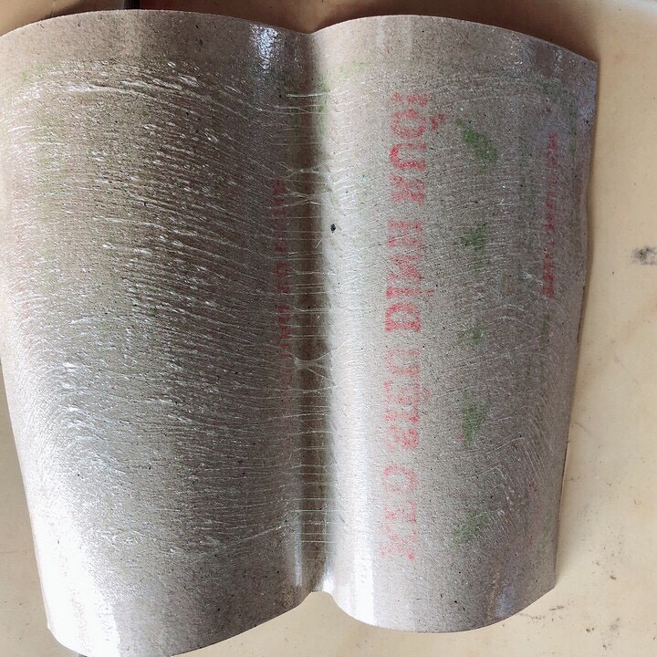 Combo 5 Tấm keo dính ruồi giá rẻ