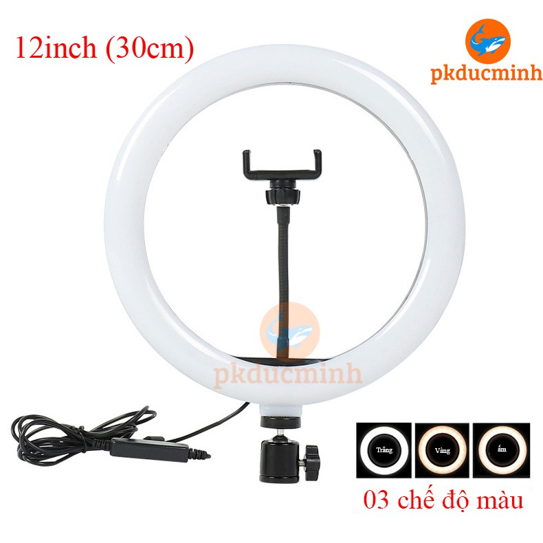 [Có sẵn] Đèn livestream size 26 30 kèm chân 2m, có nhiều chế độ sáng | BigBuy360 - bigbuy360.vn