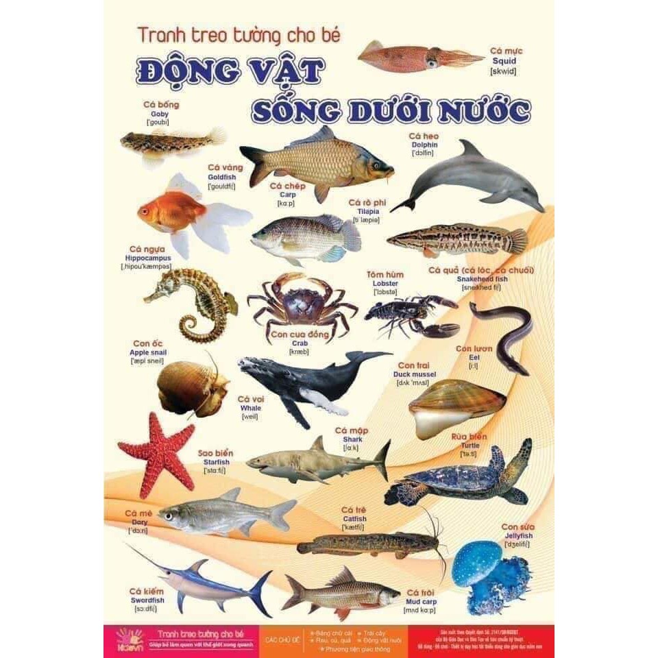 Bộ tranh treo tường thế giới xung quanh 14 chủ đề