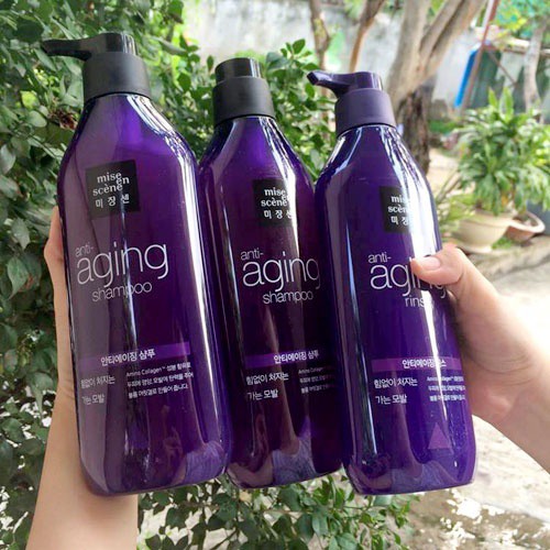 DẦU GỘI MISE EN ANTI AGING combo