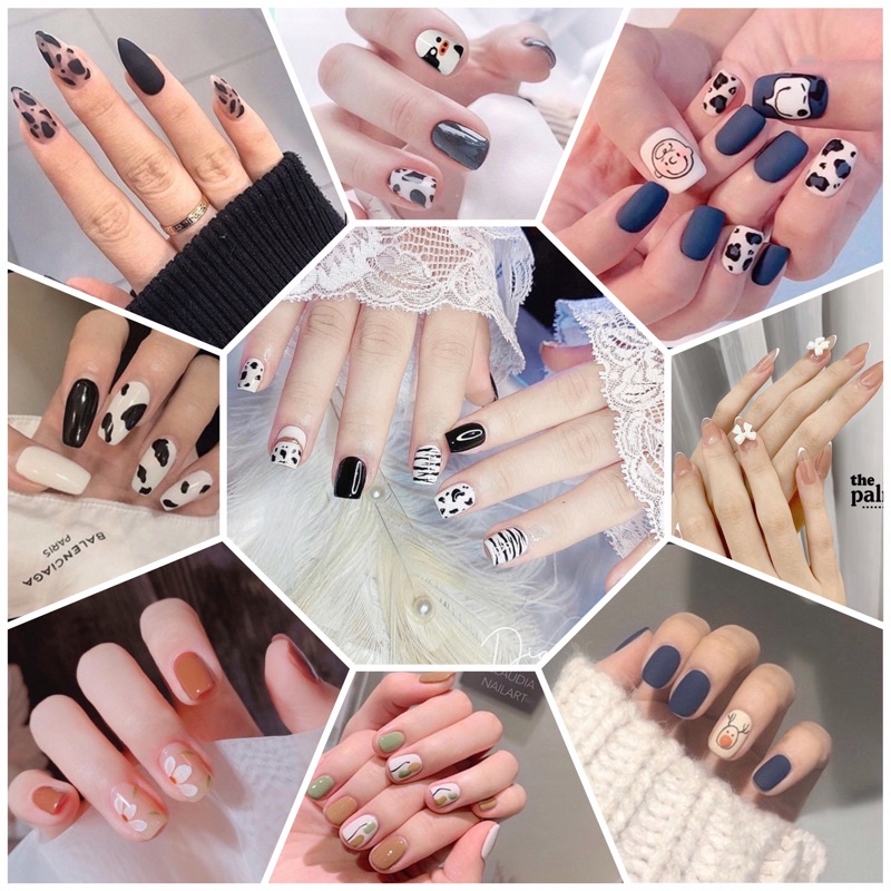 Nailbox thiết kế