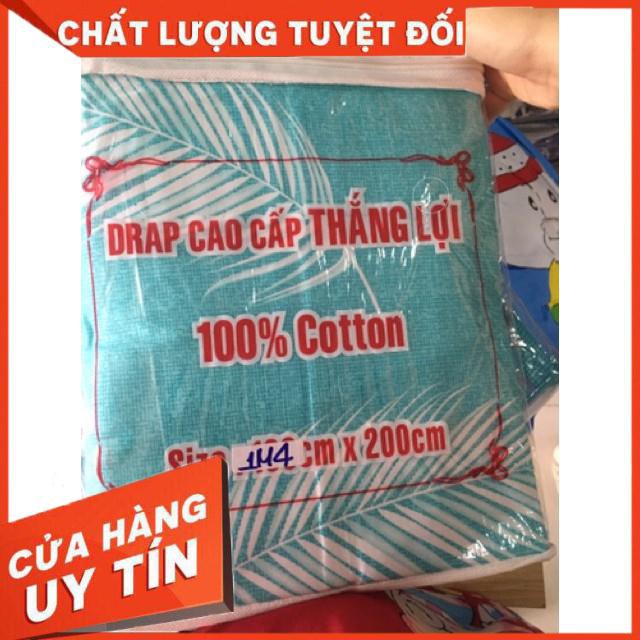 Ga gối Drap Thắng Lợi 100%cotton chính hãng