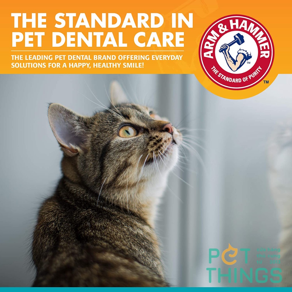 Bộ bàn chải + kem đánh răng cho mèo Arm &amp; Hammer Fresh Breath Dental Kit for Cats