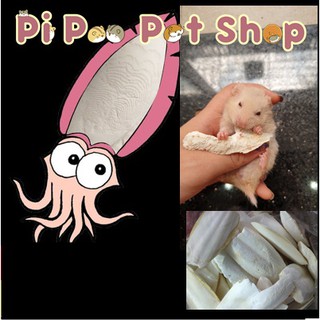 Nang mực mài răng cho Hamster, thỏ, bọ