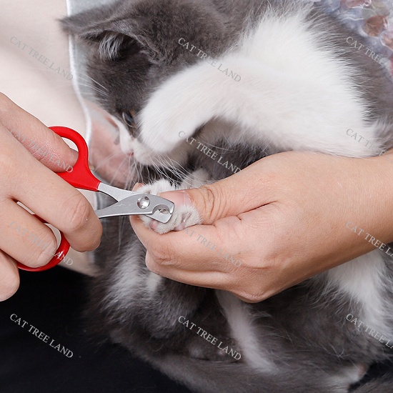 KỀM CẮT MÓNG CHO CHÓ MÈO