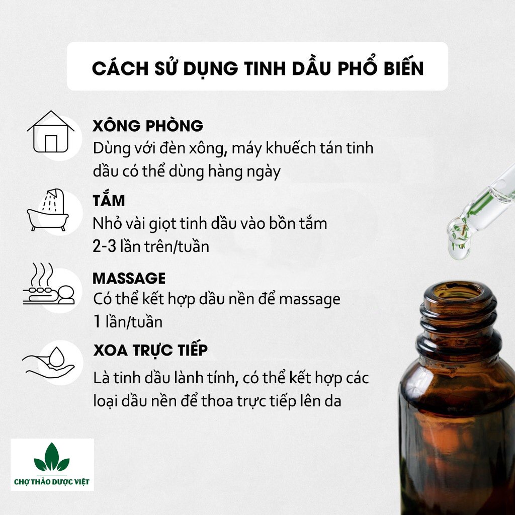 Tinh dầu Húng Quế 20ml, giảm đau đầu, cải thiện tuần hoàn máu, giúp ngủ ngon, đuổi muỗi, côn trùng - Chợ Thảo Dược Việt