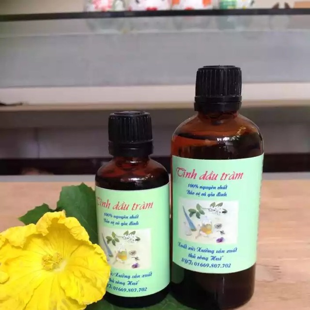 Tinh dầu tràm Cầu Bình an