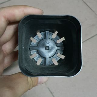 Chậu nhựa nhỏ 6 cm