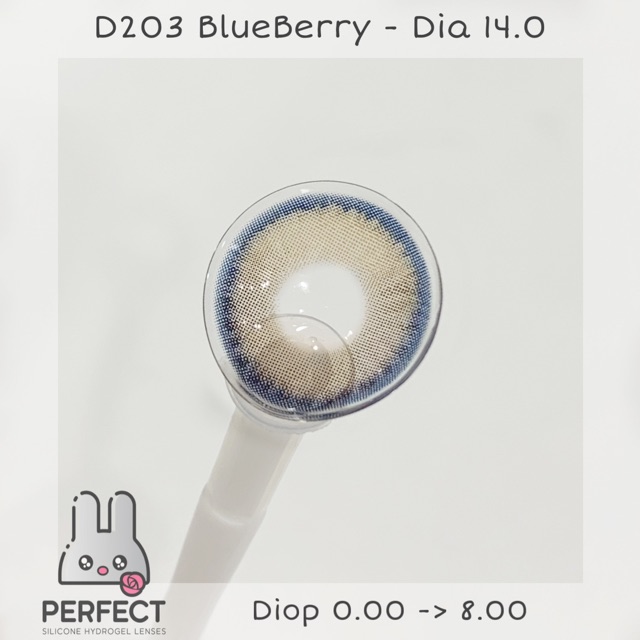 Lens D203 BlueBerry - Dia 14.0 - Kính Áp Tròng