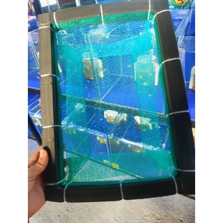 Combo 5 lồng đẻ kích thước 35×25×12cm