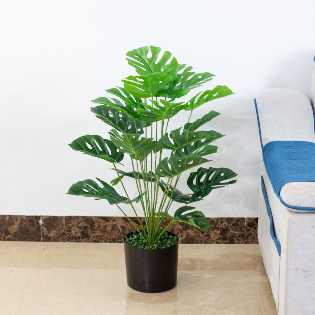Cây Rùa - Lá Trúc Lưng Rùa đại cao 54cm -105cm - Cây nhựa PVC giả trang trí nội thất nhà cửa, cửa tiệm