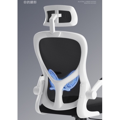 Ghế Công Thái Học Chính Hãng Xiaomi Hbada Regal