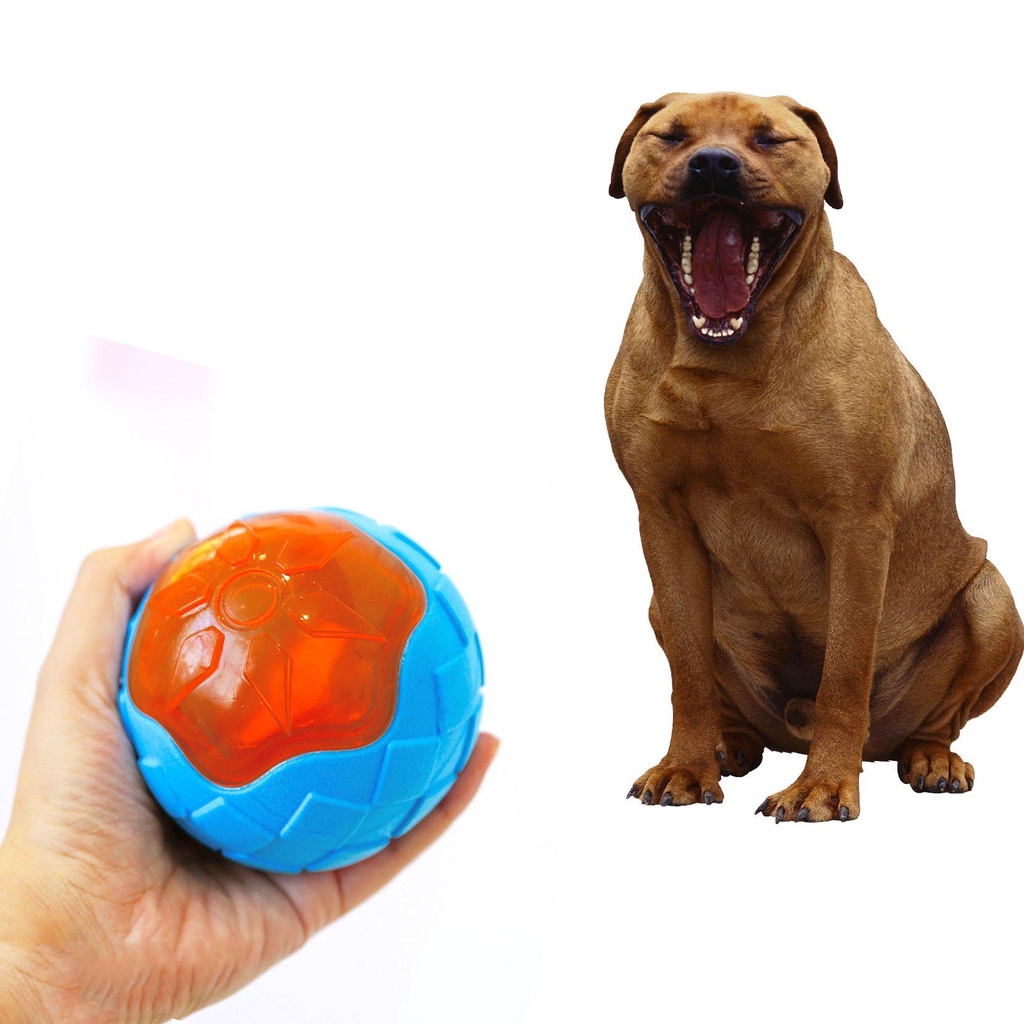 Đồ Chơi Bằng Cao Su Dùng Huấn Luyện Thú Cưng Chống Cắn Tiện Dụng