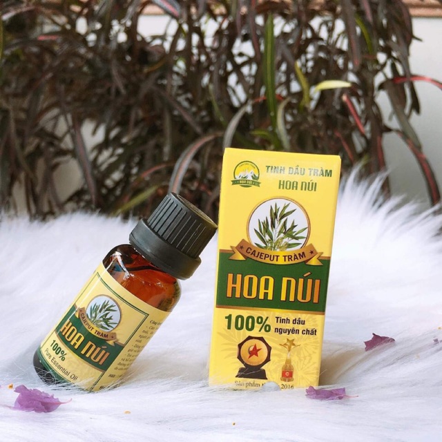 TINH DẦU TRÀM HOA NÚI
