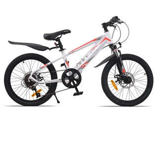 Xe đạp bé trai FORNIX FB20 Khung Sườn hợp kim Thép Rắn Chắc Vòng Bánh 20inches từ 5 Tuổi đến 8 Tuổi màu Đỏ Trắng