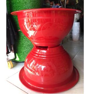 Chậu nhựa trồng cây đỏ bóng