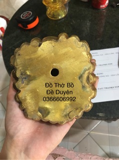 Ông cóc đồng (Thiềm Thừ 3 chân)