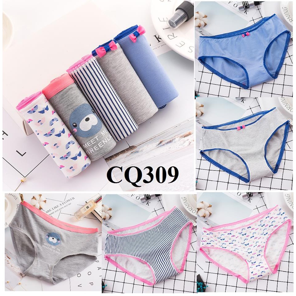 HỘP QUÀ TẶNG _COMBO 5 QUẦN CHIP NỮ 100% COTTON CAO CẤP | BigBuy360 - bigbuy360.vn