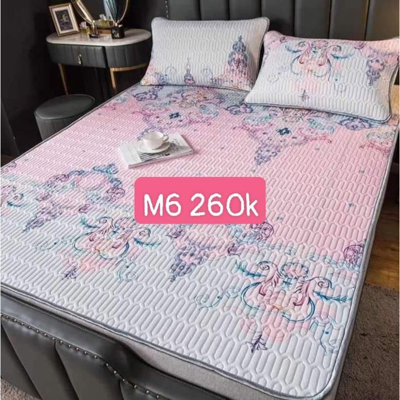 Chiếu cao su non 1m6*2m
