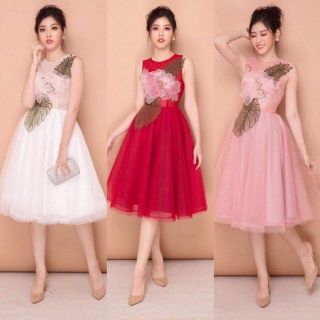 Đầm xòe công chúa đính hoa 3d