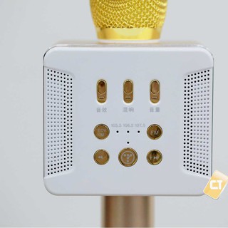 Micro karaoke kèm loa Bluetooth Tosing 016 20w