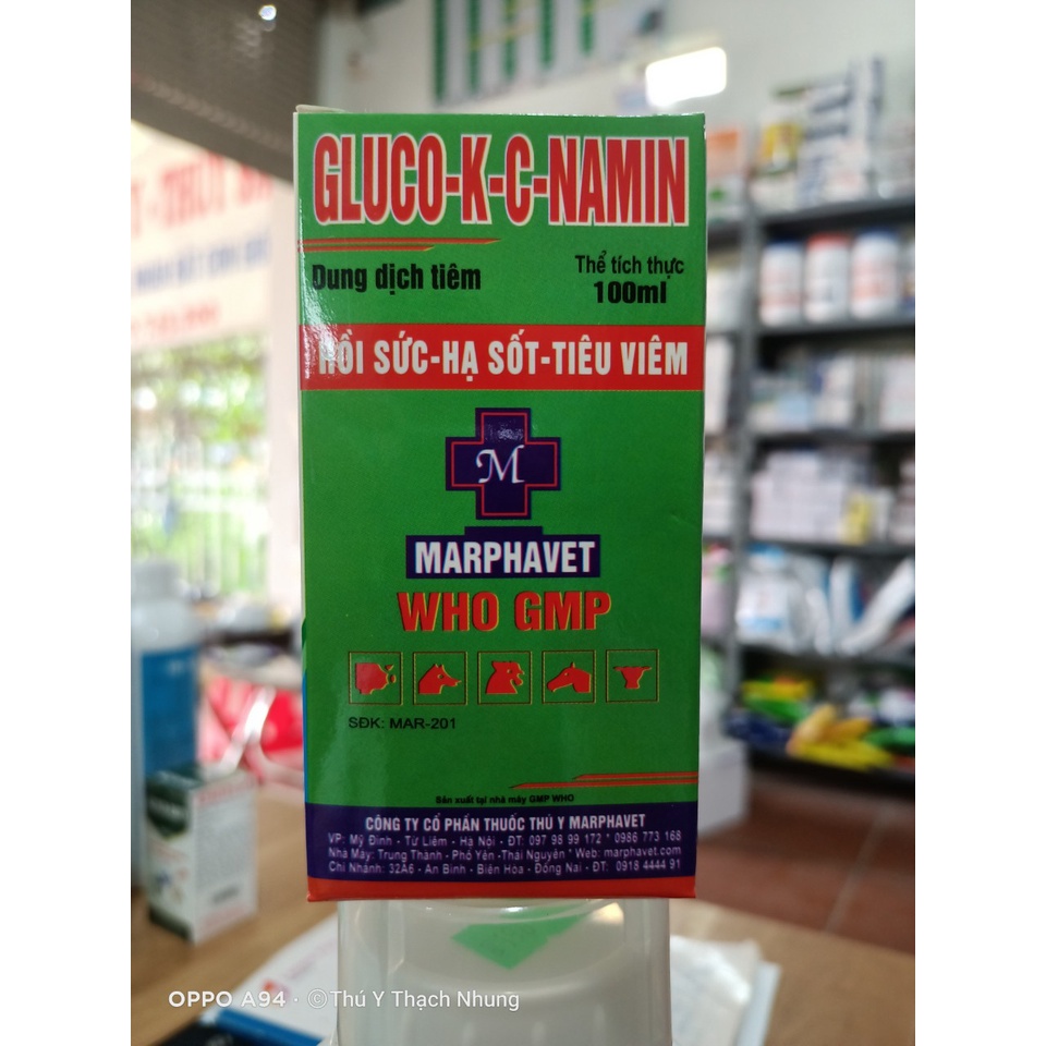 Hồi sức tăng lực cho vật nuôi GLUCO KC NAMIN Chai 100ml Công Ty MARPHAVET.