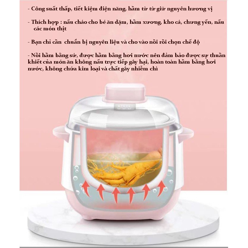 Nồi Chưng Yến, Nồi Nấu Cháo Chậm - Nồi Hầm Cách Thủy Dung Tích 1L, Lòng Nồi Bằng Sứ Giữ Nhiệt Tốt Hơn