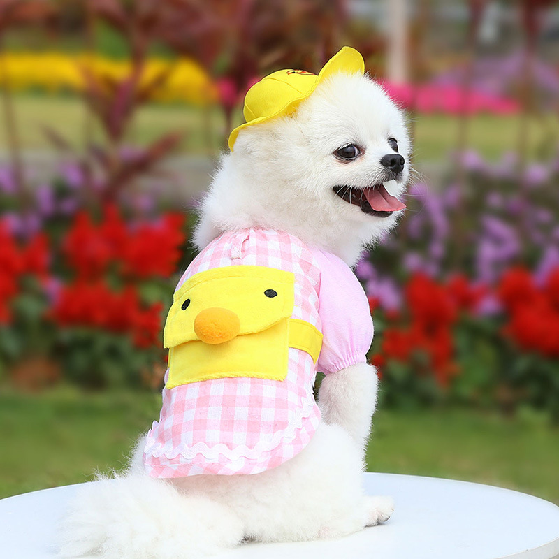 Bộ Áo + Nón Họa Tiết Chú Vịt Vàng Hoạt Hình Thời Trang Xuân Thu Xinh Xắn Cho Thú Cưng