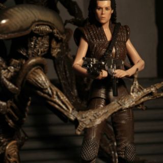 Mô hình NECA Ripley 8