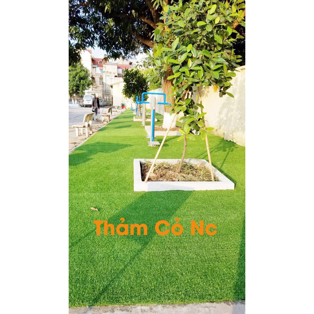 Thảm cỏ nhân tạo 2cm giá lẻ rẻ như buôn