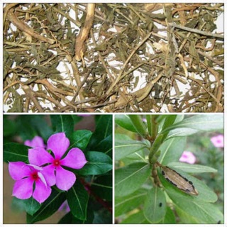 300g Dừa cạn phơi khô