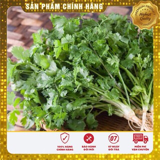 Hạt Giống Rau Mùi Chịu Nhiệt(20gr) Lucky seeds