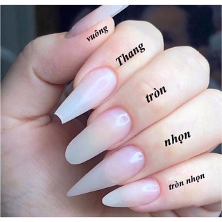 Móng úp thiết kế nail box