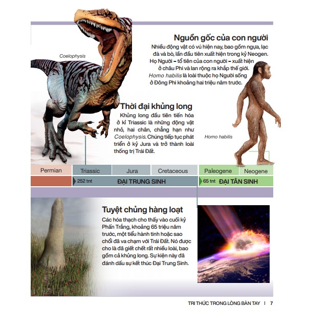 Sách - Bách khoa thiếu nhi - Trái Đất