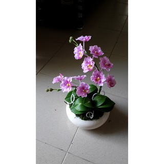 hoa đất sét