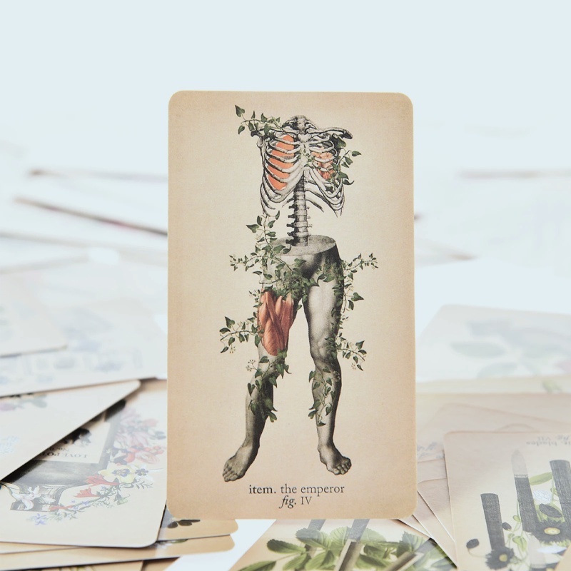 The Antique Anatomy Tarot Card Game