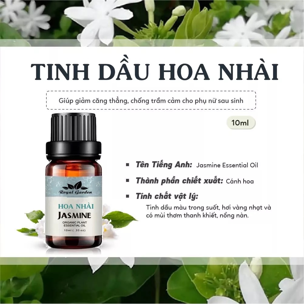 Tinh Dầu Hoa Nhài  Jasmine Essential Oil 50ML Xuất xứ Việt Nam