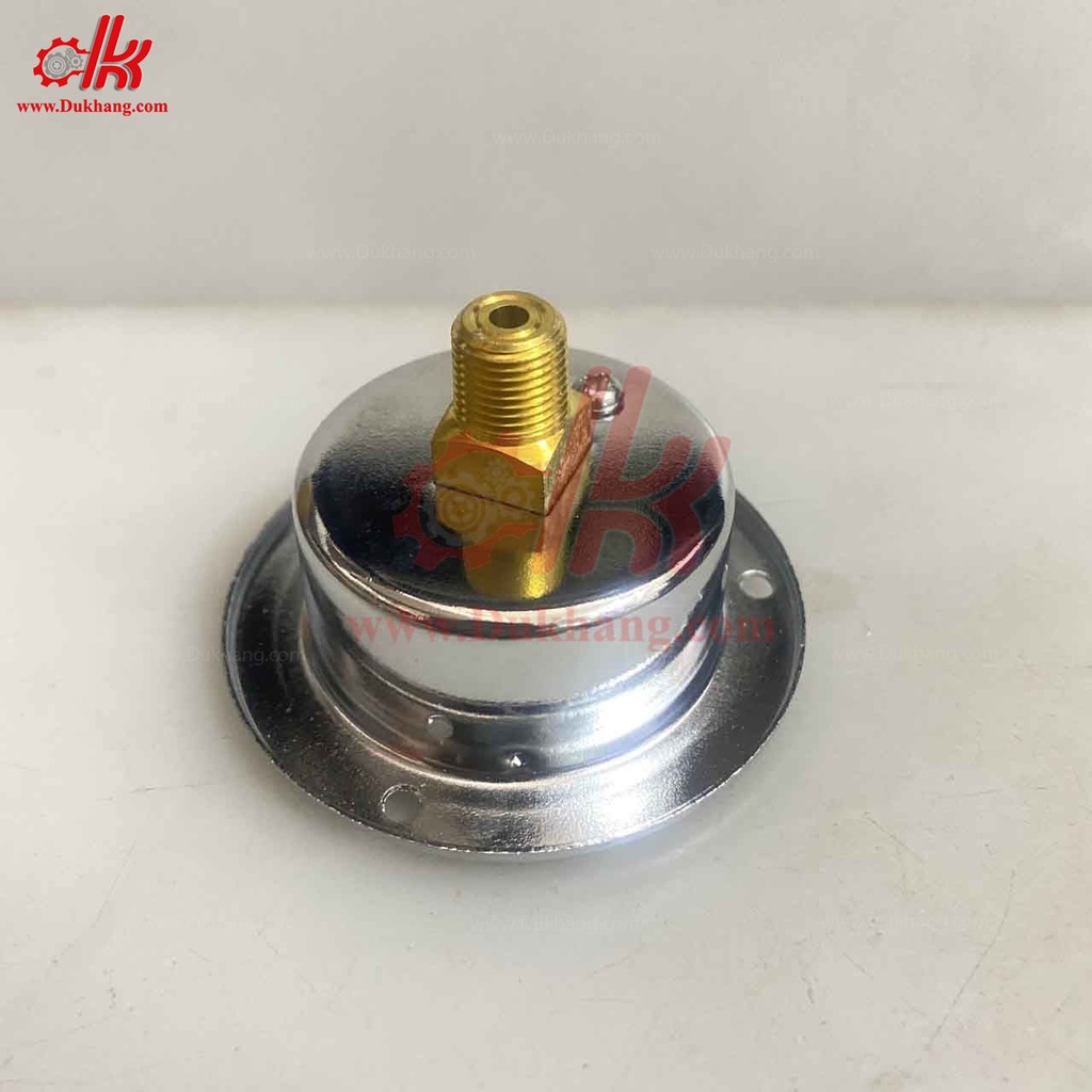 Đồng hồ áp suất hơi/ dầu/ nước Chân sau có vành