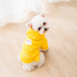 Áo xinh xắn cho thú cưng