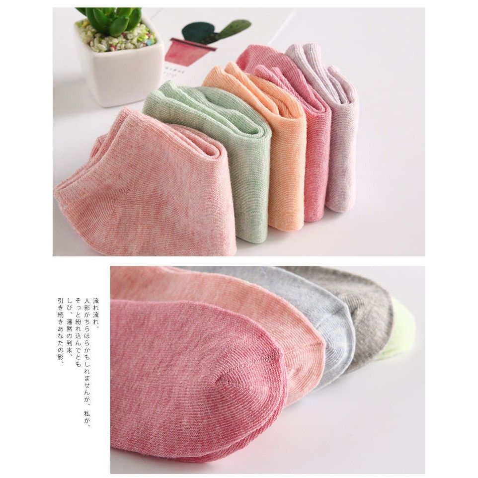 Tất vớ nữ cotton trơn cổ ngắn xuất Nhật nhiều màu cực xinh 88157