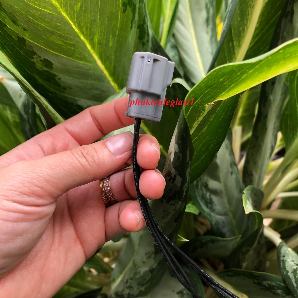 Jack cắm Máy Phát Mitsubishi Grandis jack cắm dynamo hàng OEM