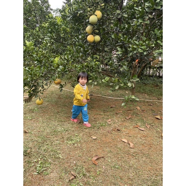 quần áo trẻ em