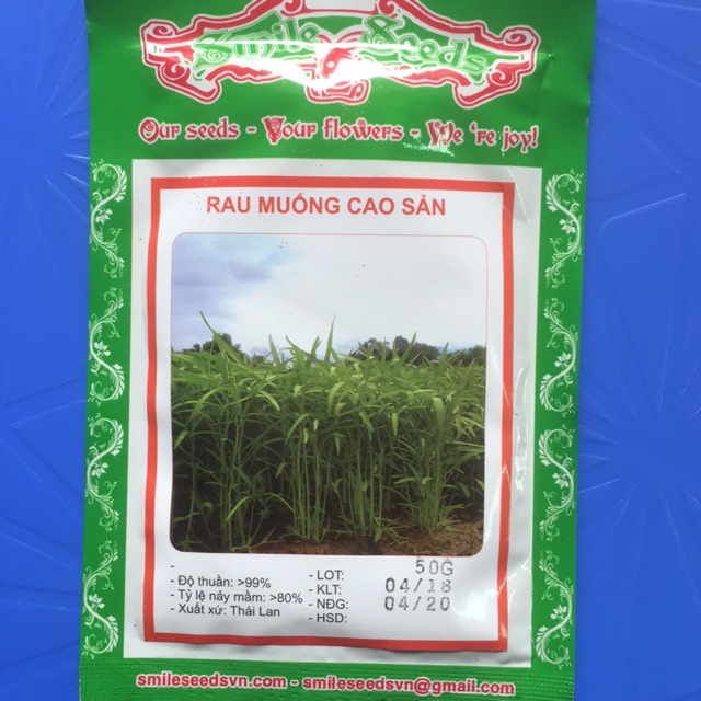 5kg hạt giống rau muống