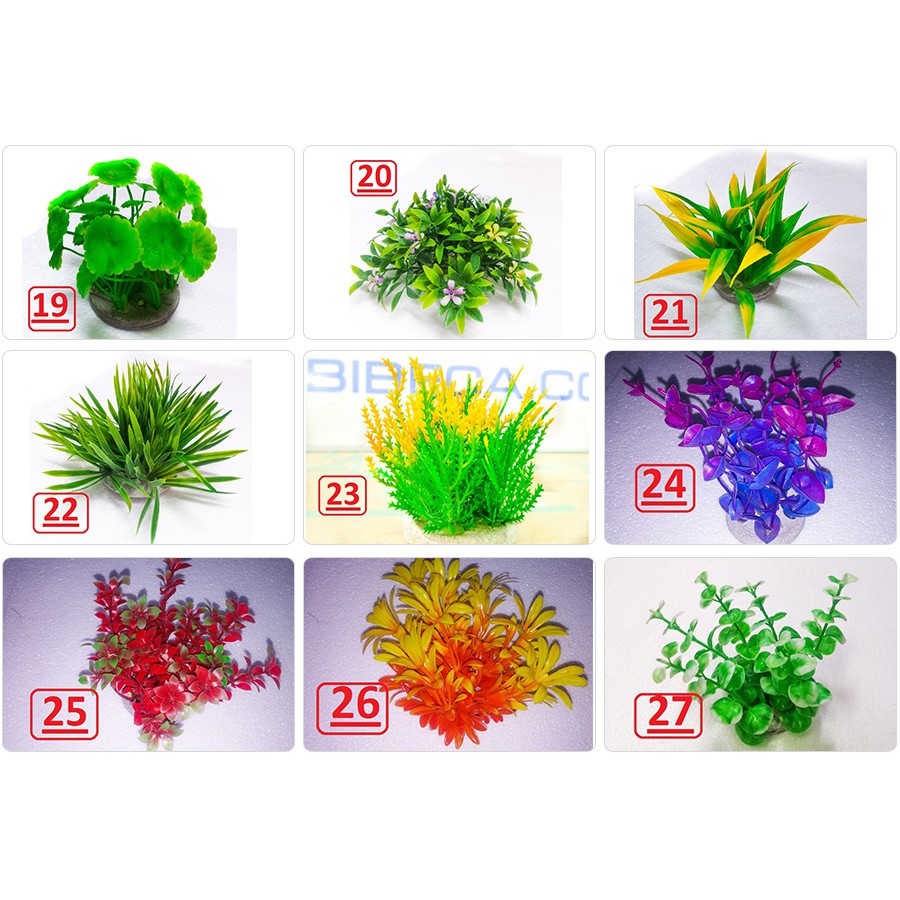 Tặng Thêm 1 Cây Nhựa Thấp Khi Mua Combo 5 Cây Nhựa Thấp Trang Trí Bể Cá