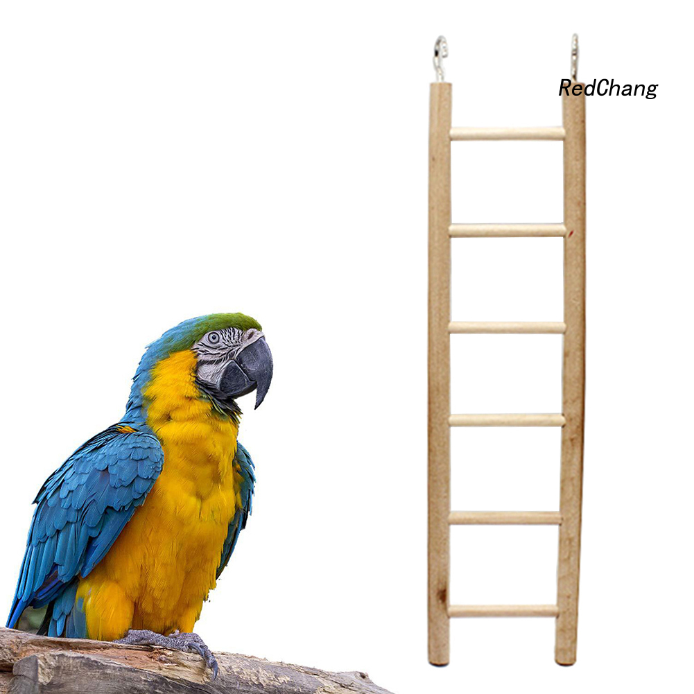 Đồ Chơi Thang Leo Thiết Kế 3 / 4 / 5 / 6 / 7 / 8 Bậc Bằng Gỗ Dành Cho Chim/Vẹt